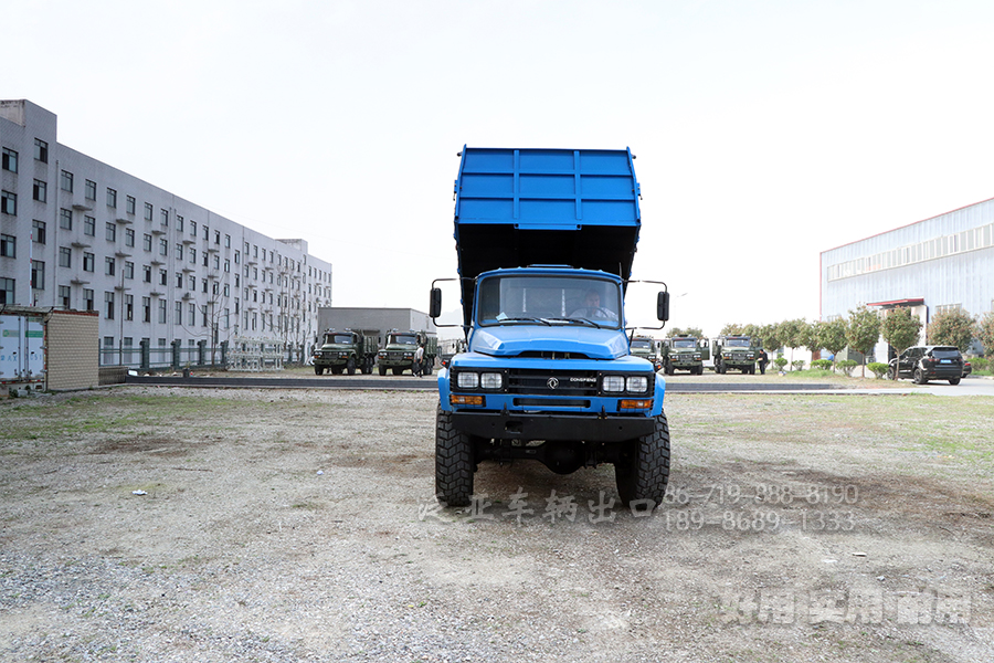 <strong>怎么选购东风6X6六驱EQ2100自卸越野车，在选购和提车时应该注意什么问题</strong>