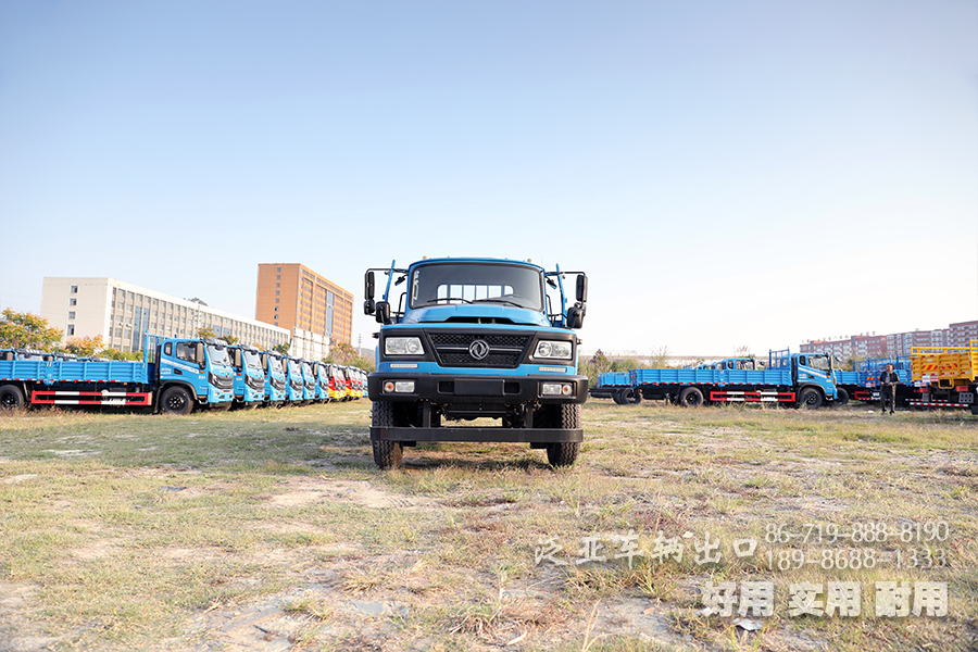 东风四驱尖头,东风教练车,东风牵引车,东风4X2越野车,东风驾证考试车,A2驾证考试车,EQ5126XLHL6D1型教练车