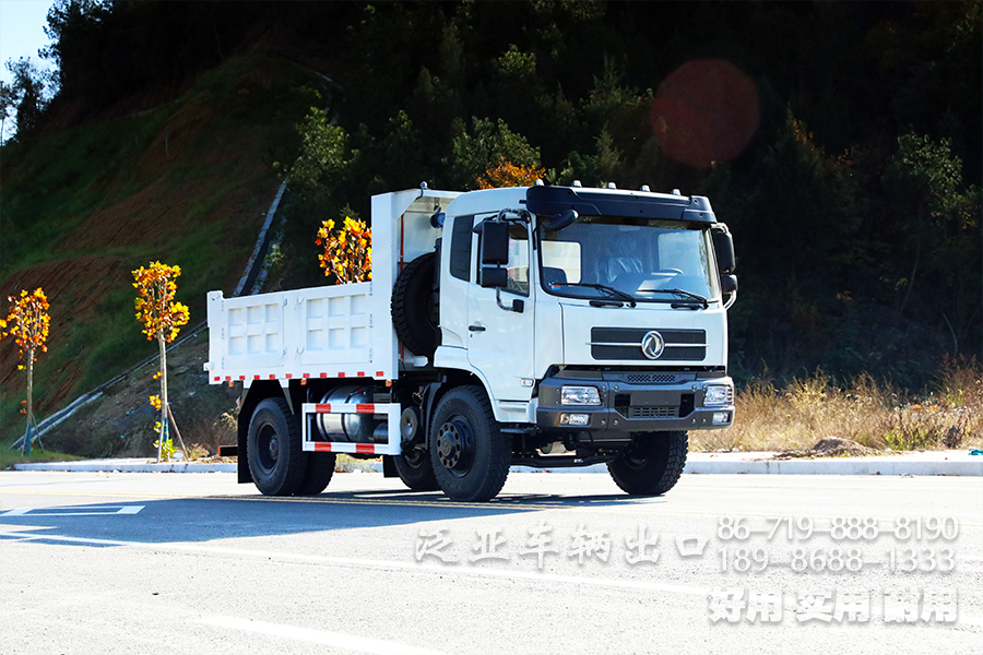 210马力自卸车,10吨自卸车,工地矿区自卸,拉土石砂料卡车,自卸公路运输车